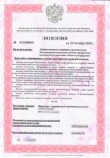 Лицензия МЧС (Пожарная лицензия) фото пример